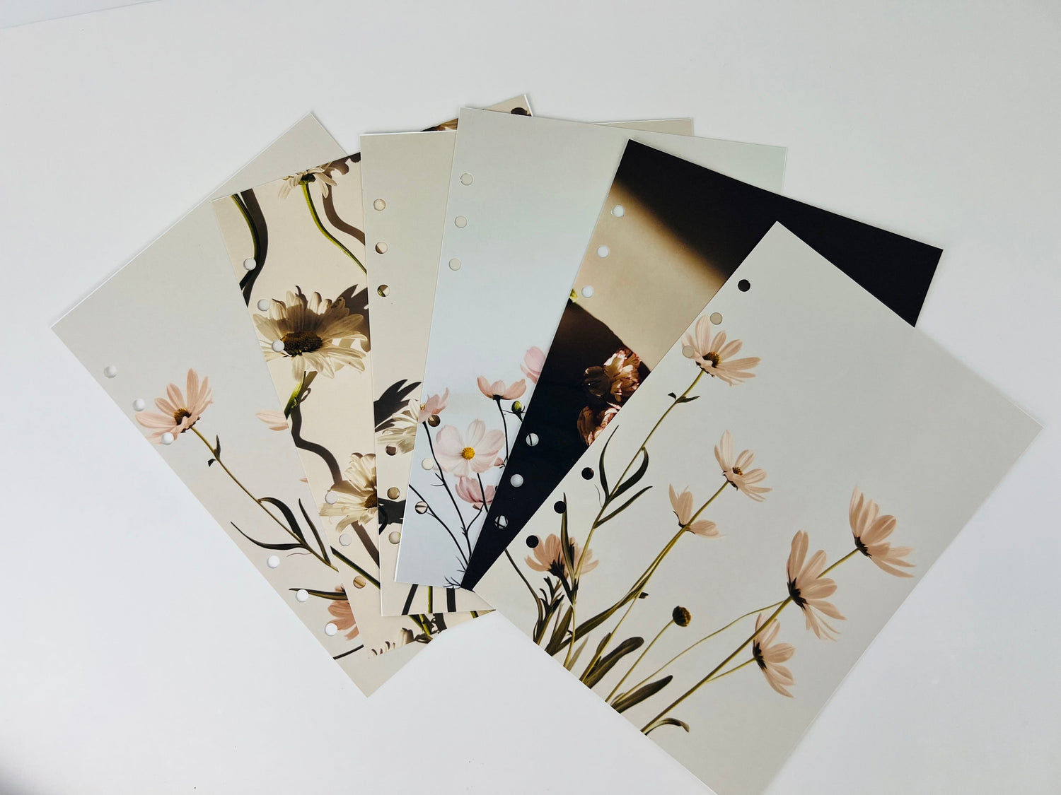 Refill your A5 planner with high-quality inserts—daily, weekly, and monthly layouts on eco-friendly paper. Fits A5 planner systems and keeps your setup fresh.