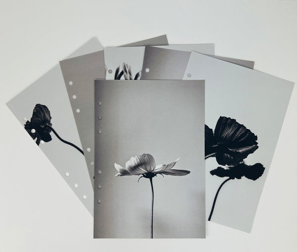 A5 Black and White Floral Planner Dashboards set with minimalist monochrome floral designs for A5 binders