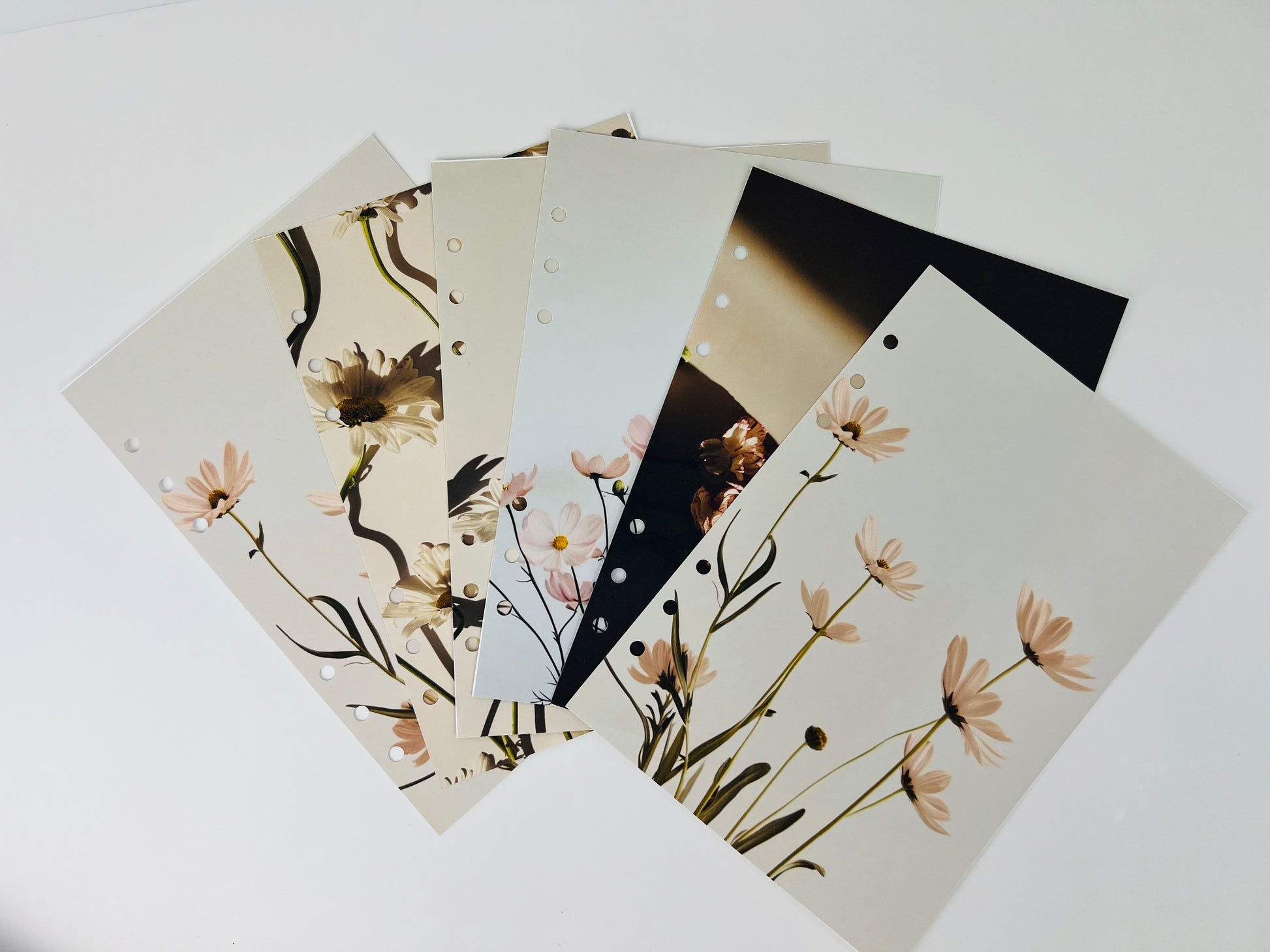 A5 Floral Planner Dashboards set with neutral botanical designs for A5 binders