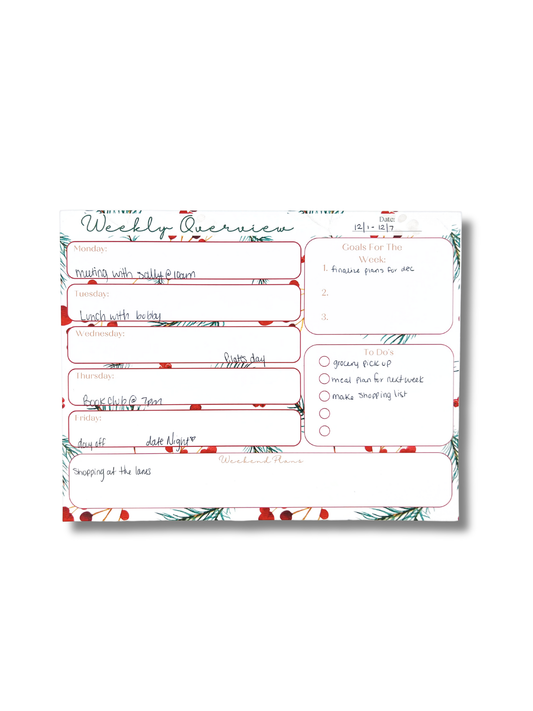 Weekly overview planner sheet with checkboxes and text on a white background